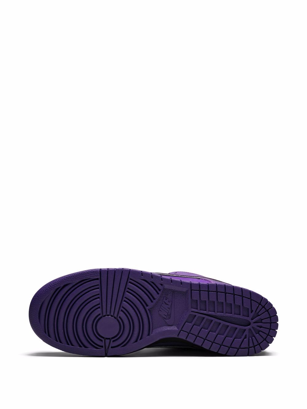 Nike DUNK CONCEPTS PURPLE LOPSTER